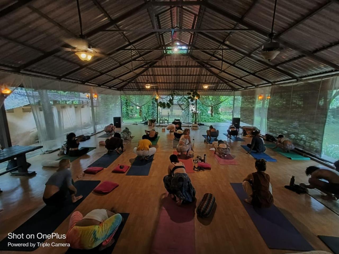 Satori Wellness Cottages I Yoga, Sauna, Ice Bath, Holistic Therapies & More Mandrem Dış mekan fotoğraf