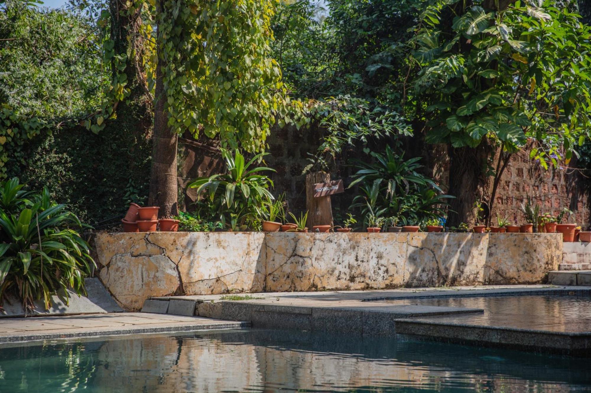 Satori Wellness Cottages I Yoga, Sauna, Ice Bath, Holistic Therapies & More Mandrem Dış mekan fotoğraf